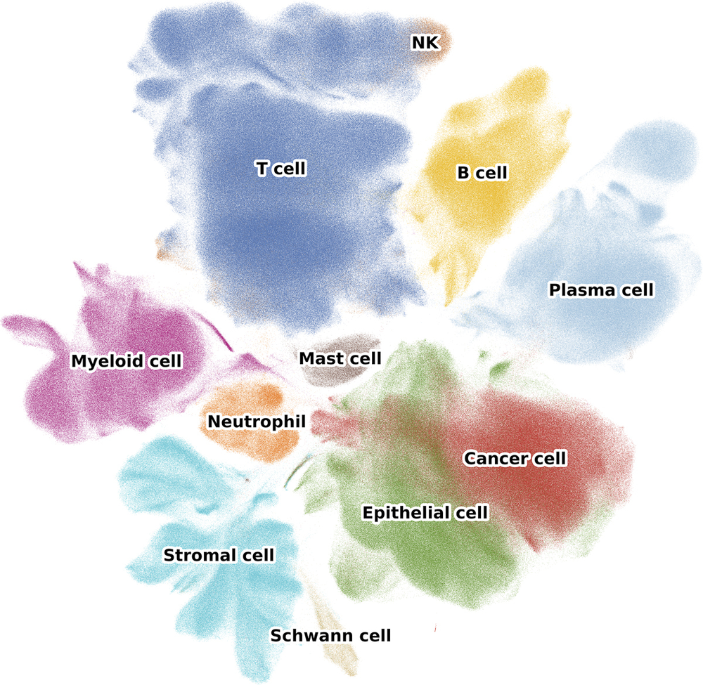 Atlas overview UMAP